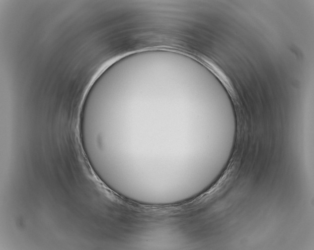 X0000112880956200908211048
