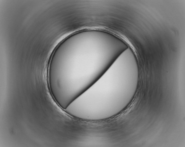 X0000112880959200908211048