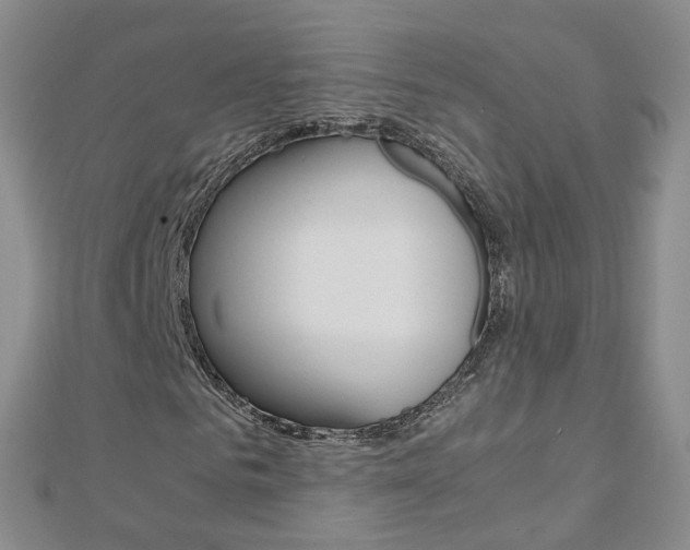 X0000112880961200908211048