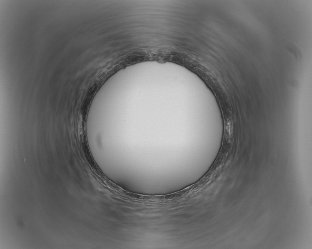 X0000112880963200908211048