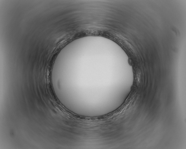 X0000112880964200908211048