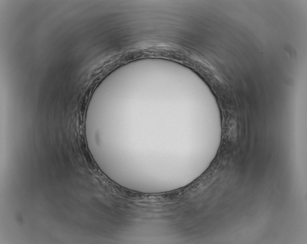 X0000112880966200908211048