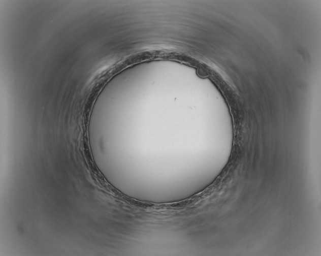 X0000112880967200908211048