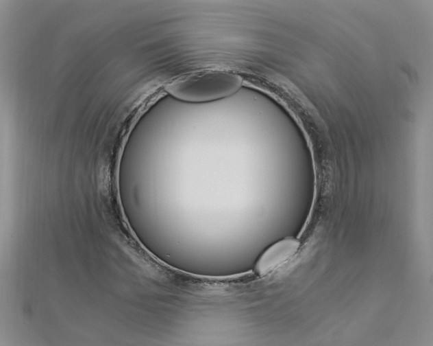 X0000112880969200908211048