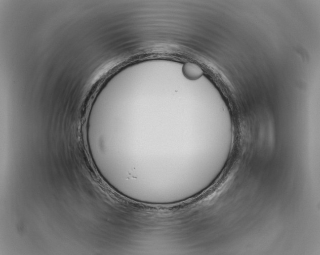 X0000112880970200908211048
