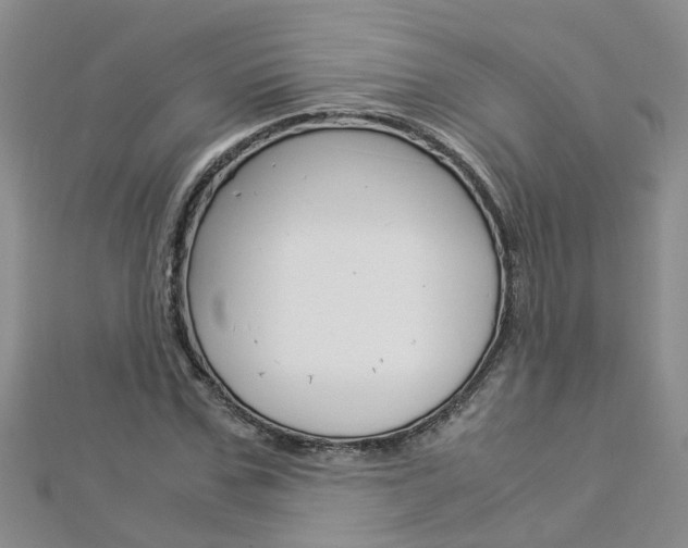 X0000112880971200908211048