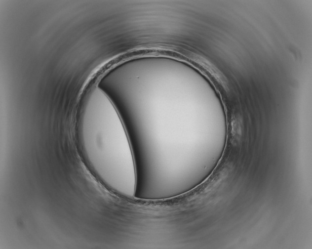 X0000112880972200908211048