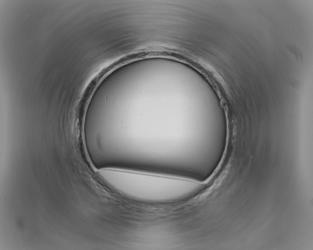 X0000112880973200908211048