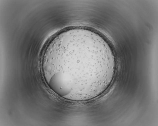 X0000112880974200908211048