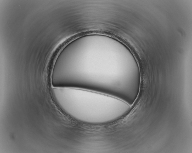 X0000112880975200908211048