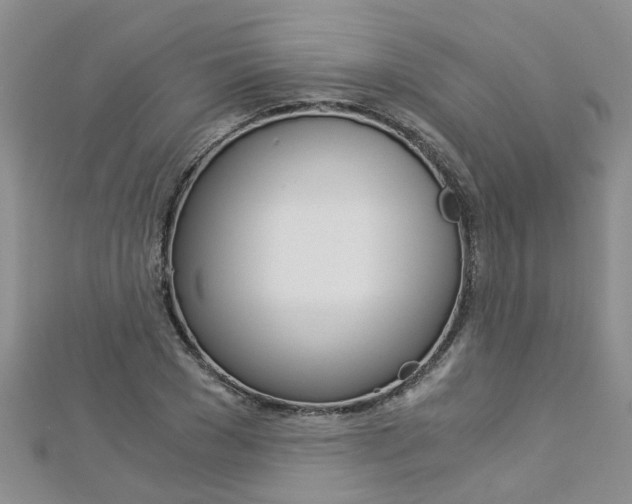 X0000112880977200908211048