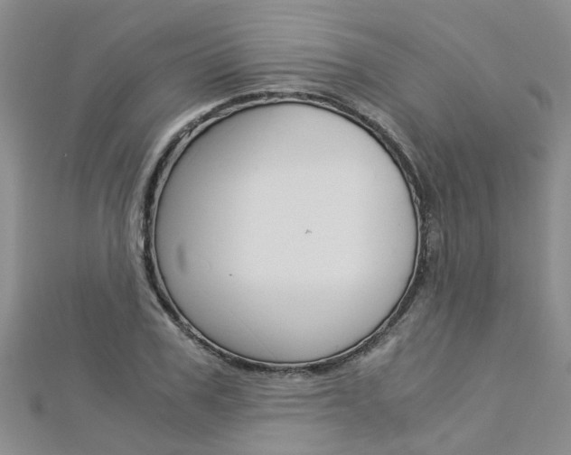 X0000112880979200908211048