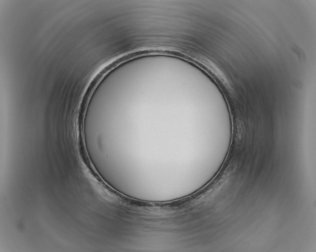 X0000112880980200908211048