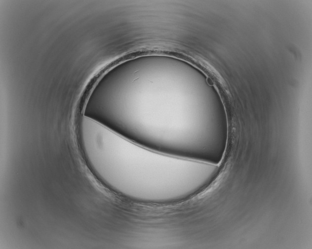 X0000112880981200908211048