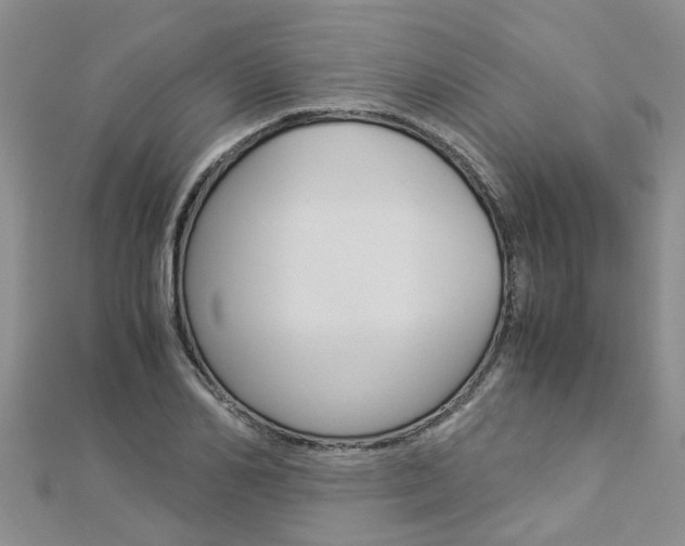 X0000112880982200908211048
