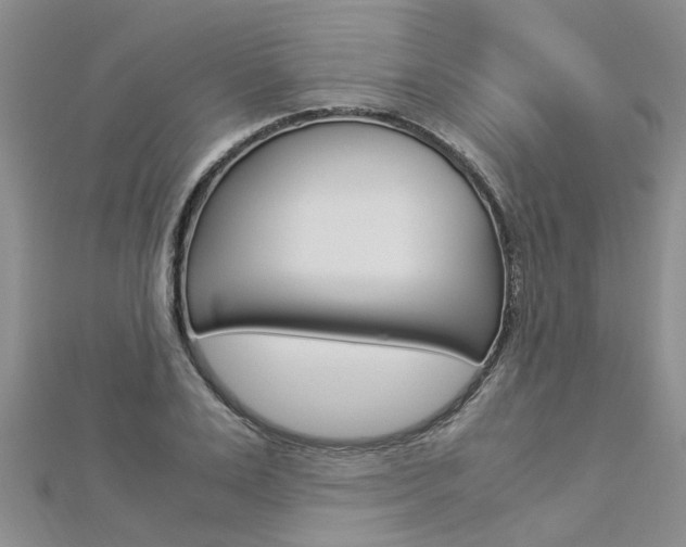 X0000112880983200908211048