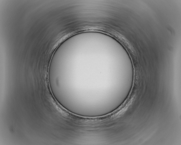 X0000112880985200908211048