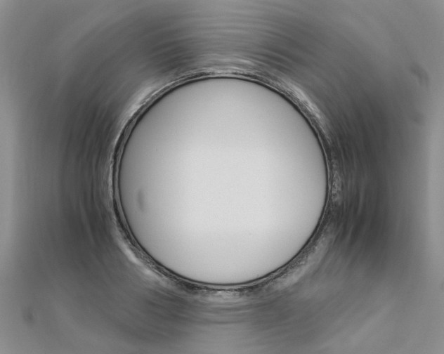 X0000112880986200908211047