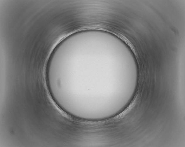 X0000112880989200908211047