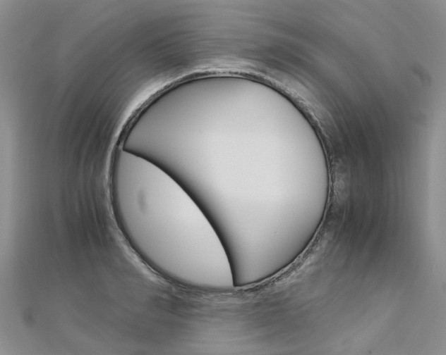 X0000112880990200908211047