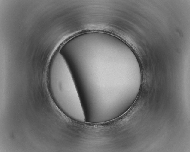 X0000112880992200908211047