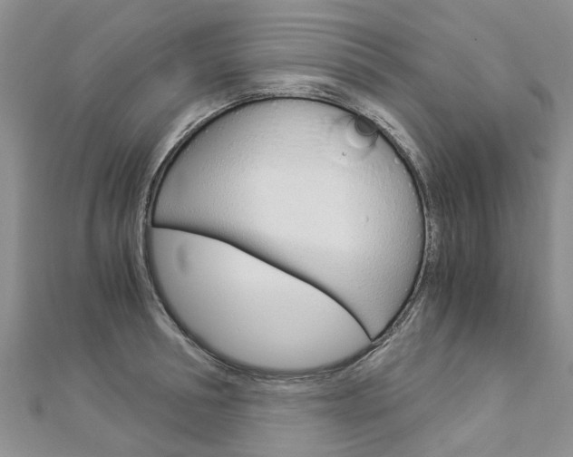 X0000112880994200908211047
