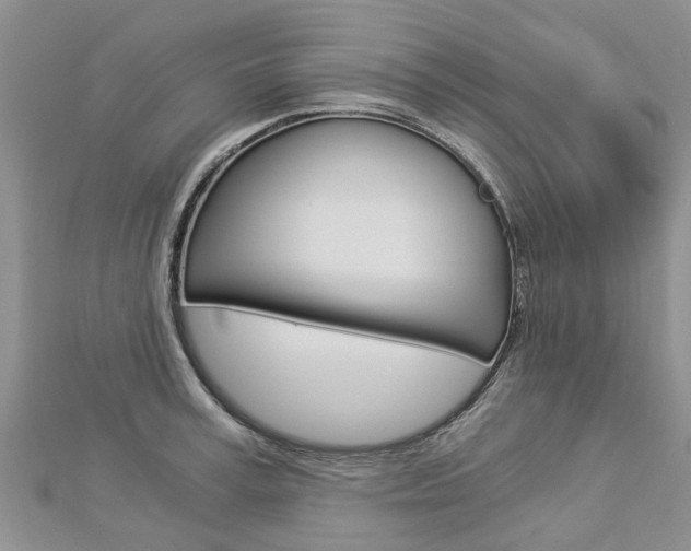 X0000112880995200908211047