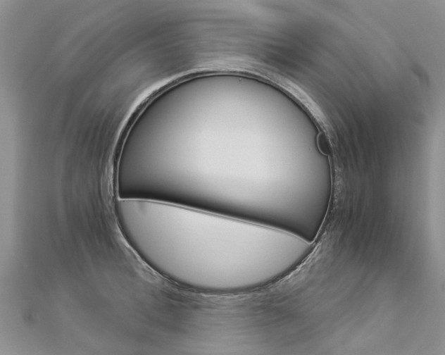 X0000112880996200908211047