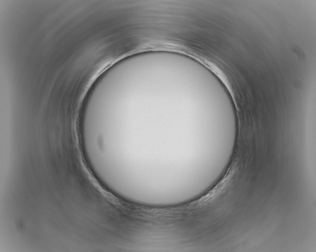 X0000112880997200908211047