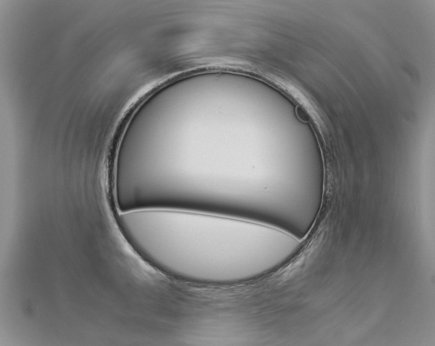 X0000112880999200908211047