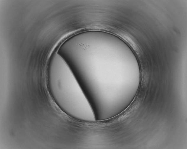 X0000112881000200908211047