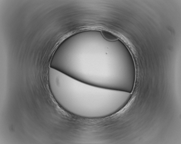 X0000112881001200908211047