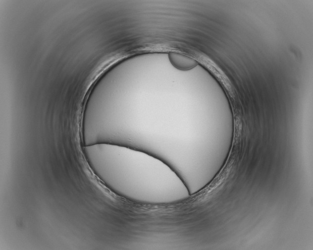 X0000112881002200908211047