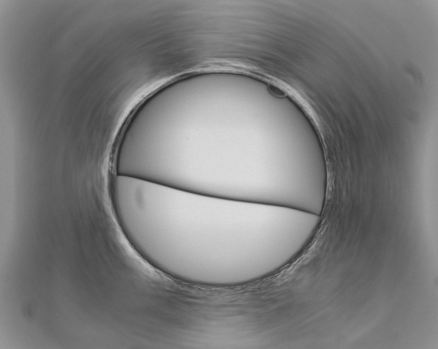 X0000112881003200908211047