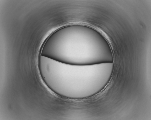 X0000112881005200908211047