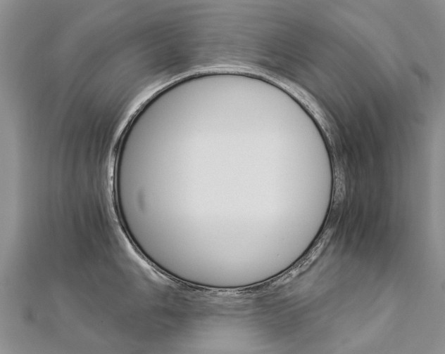 X0000112881006200908211047