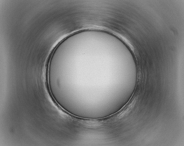 X0000112881007200908211047