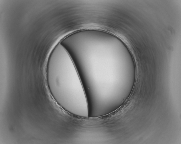 X0000112881008200908211047