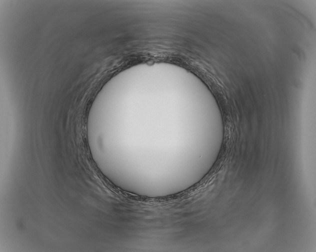 X0000112881009200908211047