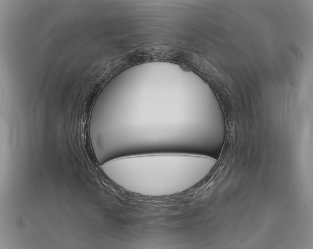 X0000112881010200908211047