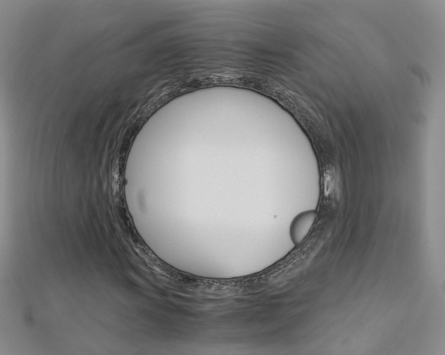 X0000112881011200908211047