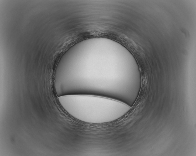 X0000112881012200908211047