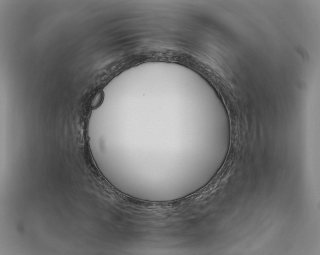 X0000112881013200908211047