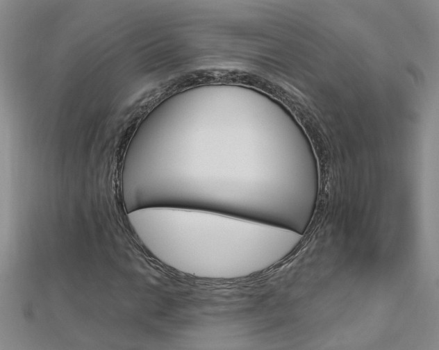 X0000112881014200908211047