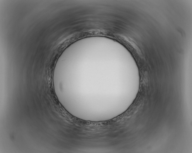 X0000112881015200908211047