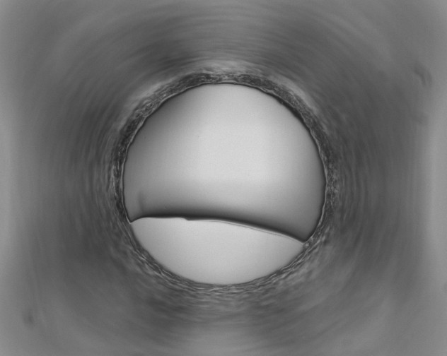 X0000112881016200908211047