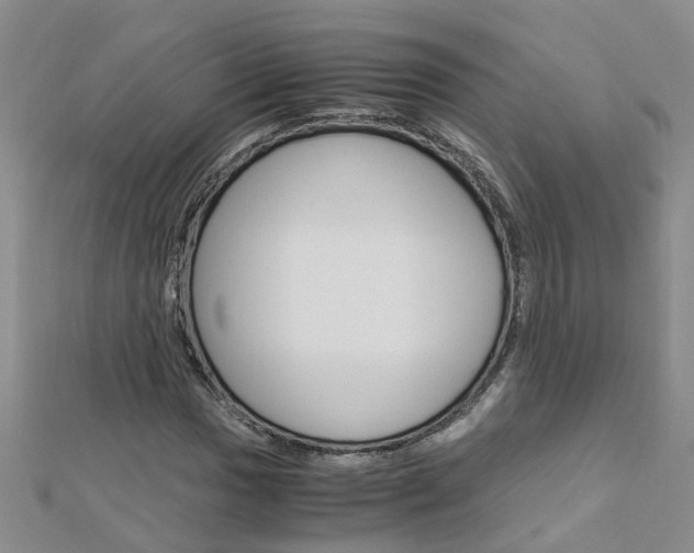 X0000112881017200908211047