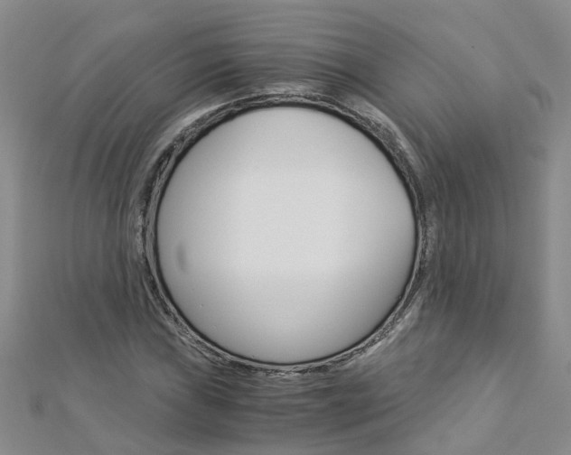 X0000112881019200908211047