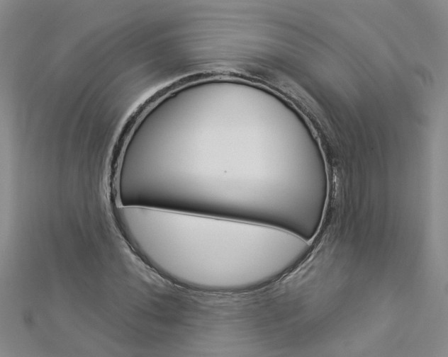 X0000112881020200908211047