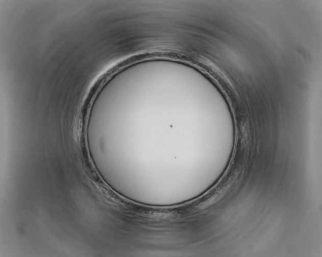 X0000112881021200908211047